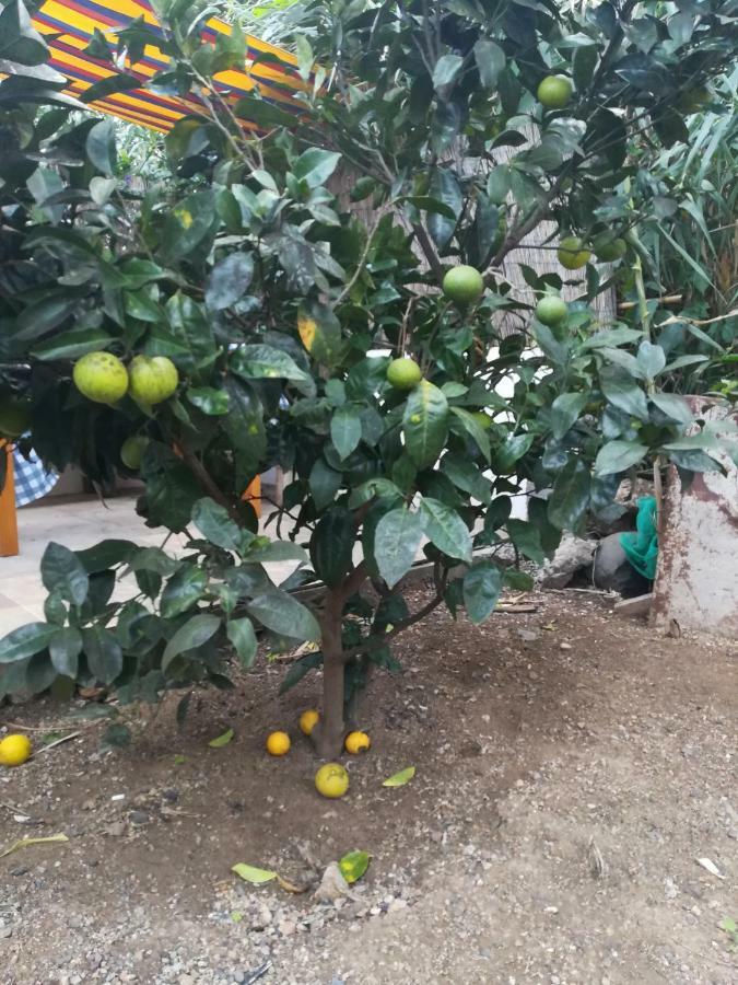 巴列埃尔莫索Casa La Terraza别墅 外观 照片