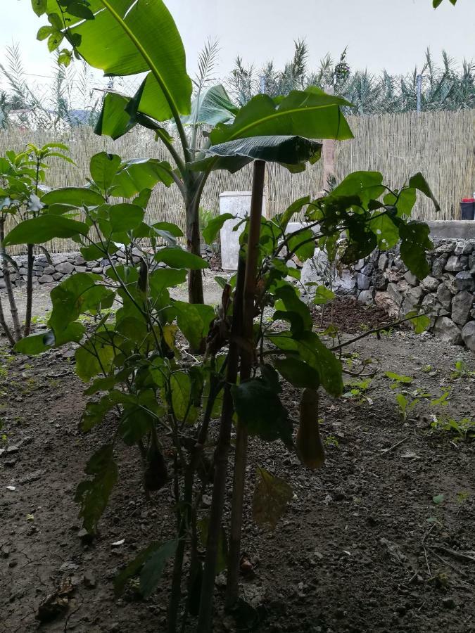 巴列埃尔莫索Casa La Terraza别墅 外观 照片