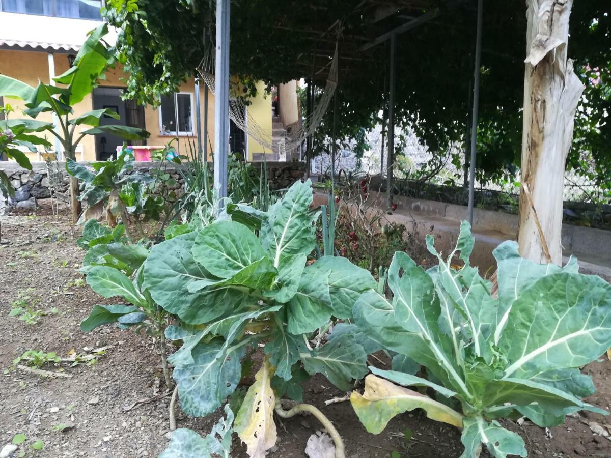 巴列埃尔莫索Casa La Terraza别墅 外观 照片