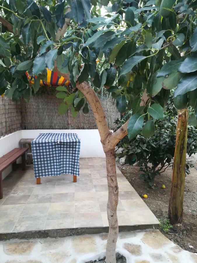 巴列埃尔莫索Casa La Terraza别墅 外观 照片