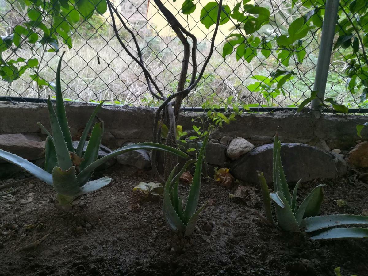 巴列埃尔莫索Casa La Terraza别墅 外观 照片