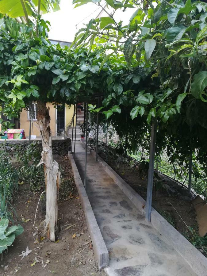 巴列埃尔莫索Casa La Terraza别墅 外观 照片