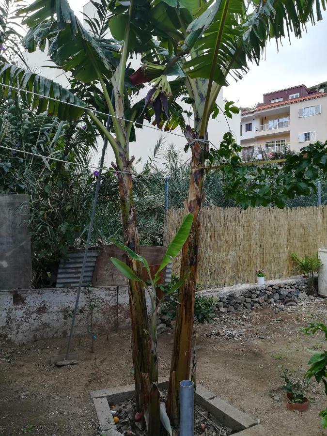 巴列埃尔莫索Casa La Terraza别墅 外观 照片