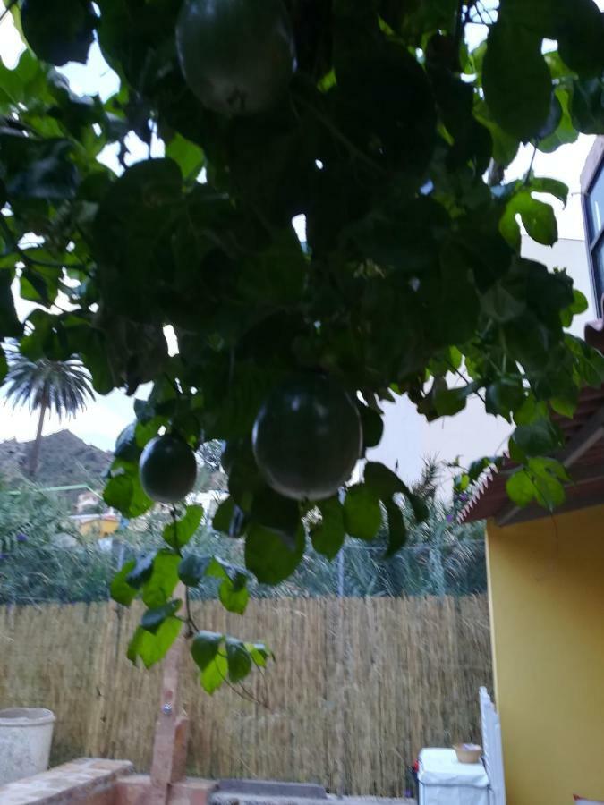 巴列埃尔莫索Casa La Terraza别墅 外观 照片